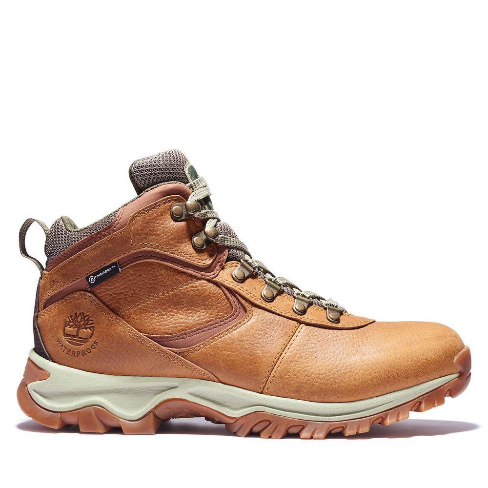 Botas de Montaña Timberland Hombre Mt. Maddsen Mid Waterproof Marrones - Chile GFY-451628